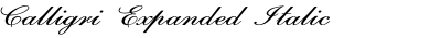 Calligri Expanded Italic